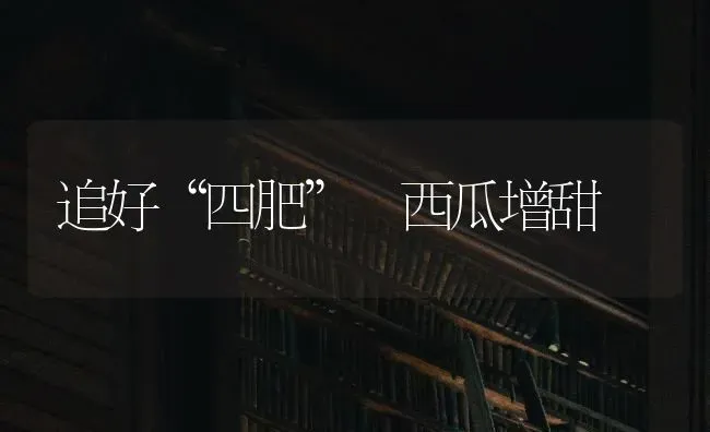 追好“四肥” 西瓜增甜 | 瓜果种植