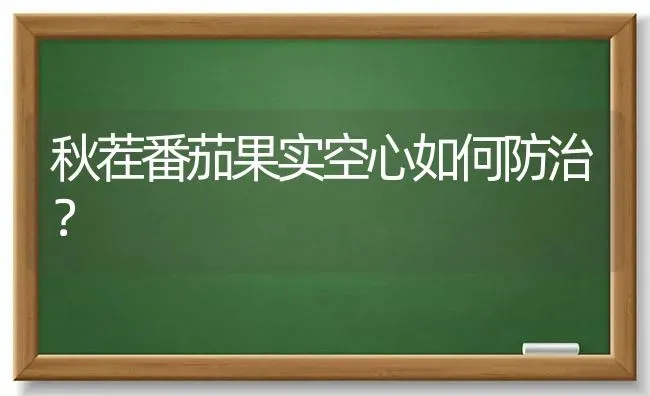 秋茬番茄果实空心如何防治？ | 瓜果种植