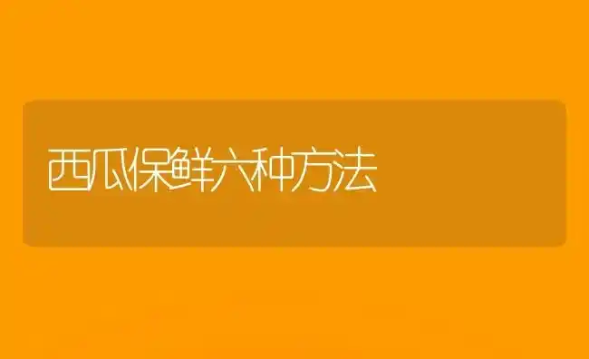 西瓜保鲜六种方法 | 瓜果种植