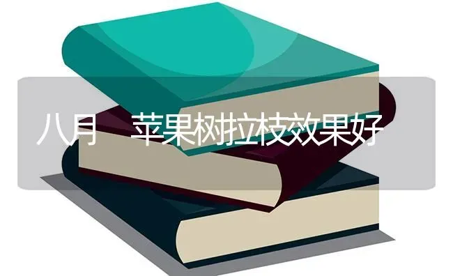 八月 苹果树拉枝效果好 | 瓜果种植