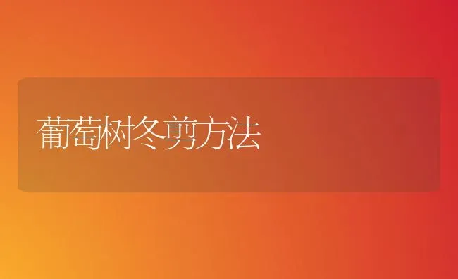 葡萄树冬剪方法 | 瓜果种植