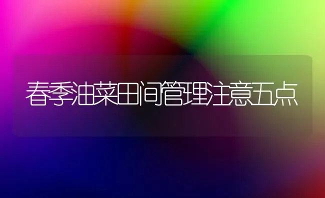 春季油菜田间管理注意五点 | 粮油作物种植