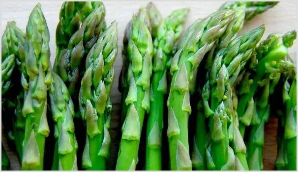 自家阳台种植芦笋的方法 | 农业科普