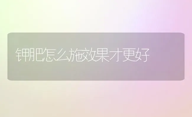 钾肥怎么施效果才更好 | 瓜果种植