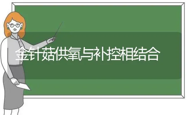 金针菇供氧与补控相结合 | 食用菌种植