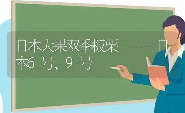 日本大果双季板栗---日本6号、9号 | 瓜果种植