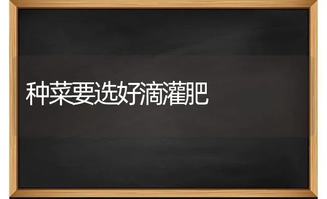 种菜要选好滴灌肥 | 蔬菜种植