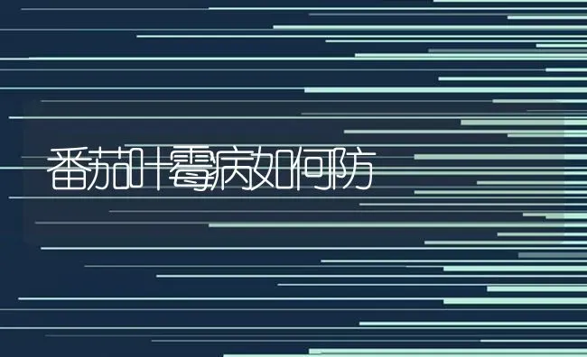 冬季给棚菜浇水注意事项 | 蔬菜种植