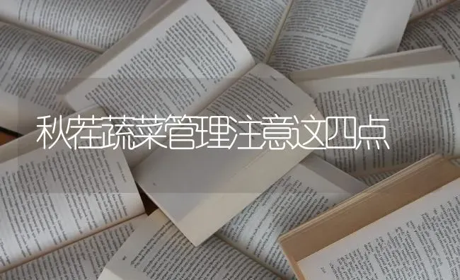 秋茬蔬菜管理注意这四点 | 蔬菜种植