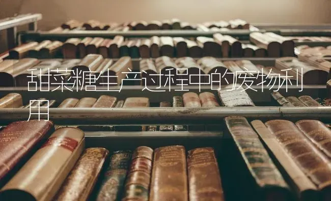 甜菜糖生产过程中的废物利用 | 蔬菜种植