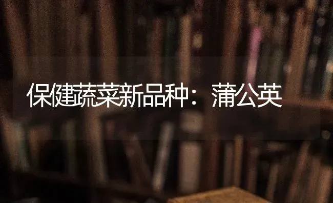 保健蔬菜新品种:蒲公英 | 蔬菜种植