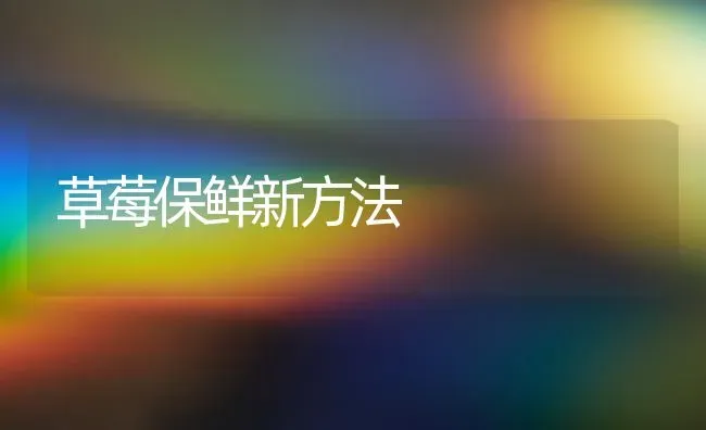 草莓保鲜新方法 | 瓜果种植