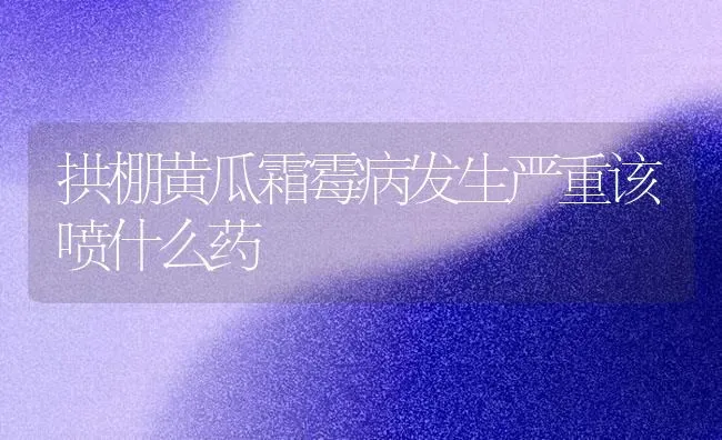 拱棚黄瓜霜霉病发生严重该喷什么药 | 蔬菜种植
