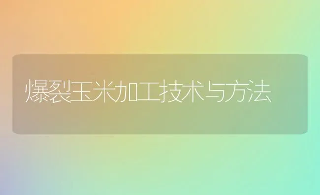 爆裂玉米加工技术与方法 | 粮油作物种植