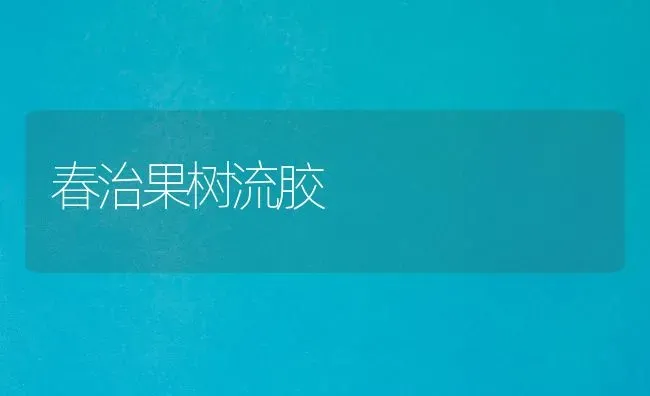 春治果树流胶 | 瓜果种植