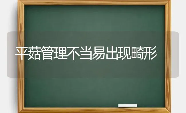 平菇管理不当易出现畸形 | 食用菌种植