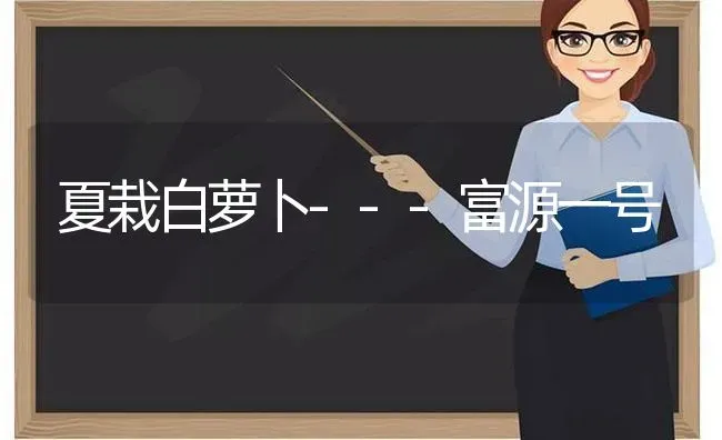 夏栽白萝卜---富源一号 | 蔬菜种植