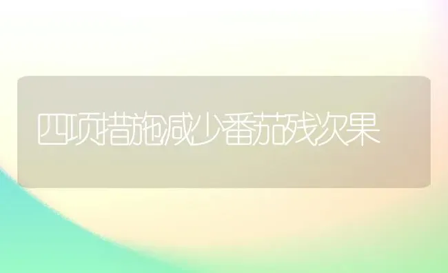 四项措施减少番茄残次果 | 瓜果种植