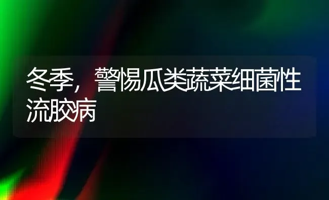 冬季，警惕瓜类蔬菜细菌性流胶病 | 蔬菜种植