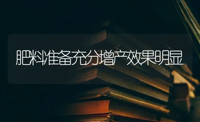 肥料准备充分增产效果明显 | 瓜果种植