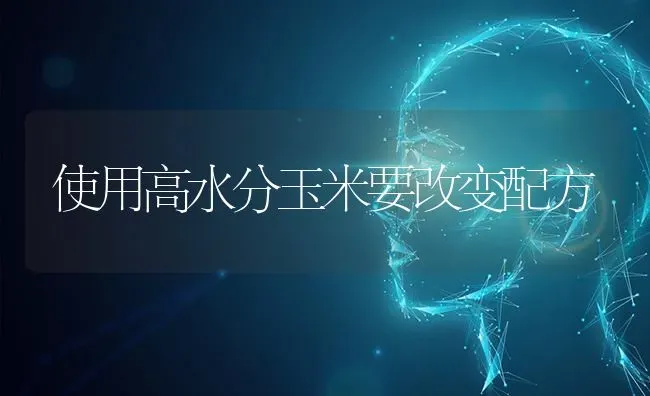 使用高水分玉米要改变配方 | 粮油作物种植