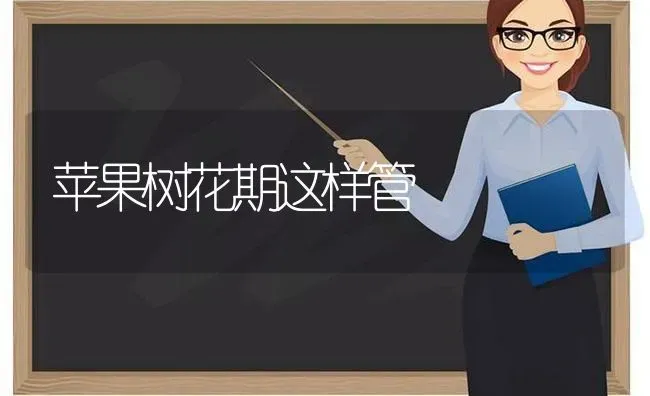 苹果树花期这样管 | 瓜果种植