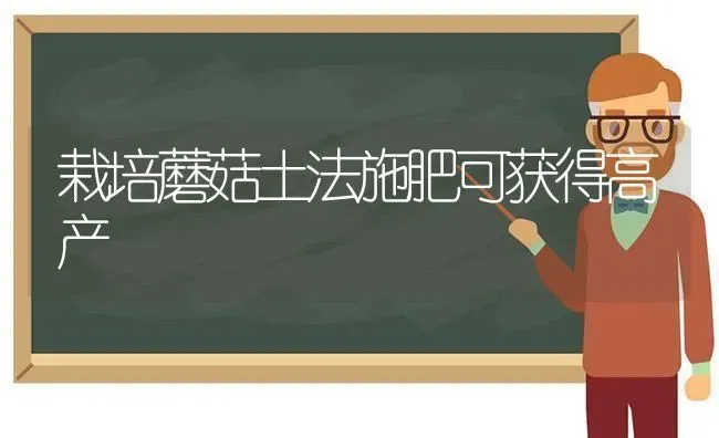 栽培蘑菇土法施肥可获得高产 | 食用菌种植