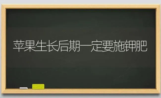 苹果生长后期一定要施钾肥 | 瓜果种植