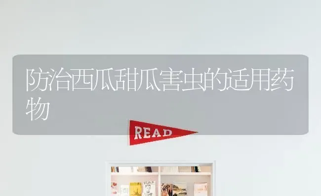 防治西瓜甜瓜害虫的适用药物 | 瓜果种植