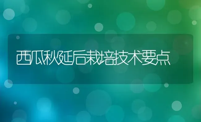 西瓜秋延后栽培技术要点 | 瓜果种植