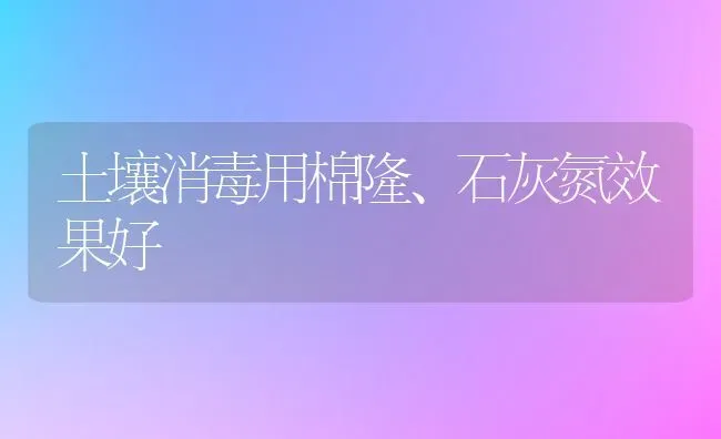 土壤消毒用棉隆、石灰氮效果好 | 瓜果种植