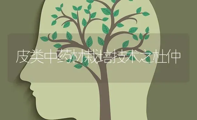 皮类中药材栽培技术之杜仲 | 瓜果种植
