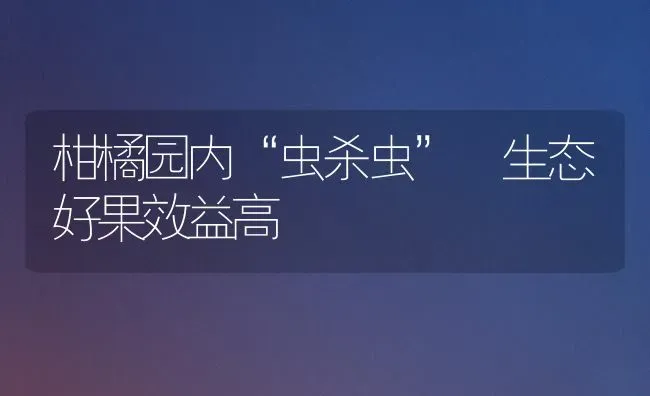 柑橘园内“虫杀虫” 生态好果效益高 | 瓜果种植