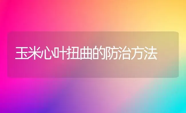 玉米心叶扭曲的防治方法 | 粮油作物种植