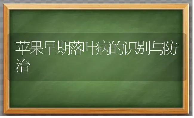 苹果早期落叶病的识别与防治 | 瓜果种植