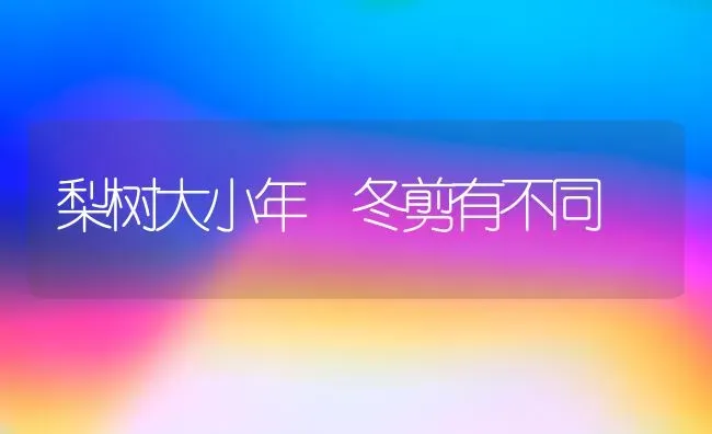 梨树大小年 冬剪有不同 | 瓜果种植