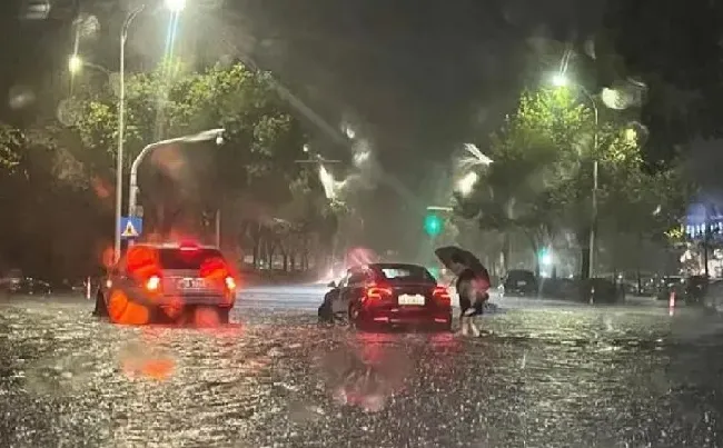 烂根|杭州暴雨有车库被淹 地库绿植也未能幸免