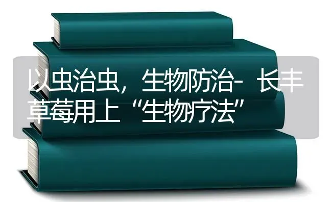 以虫治虫，生物防治-长丰草莓用上“生物疗法” | 瓜果种植
