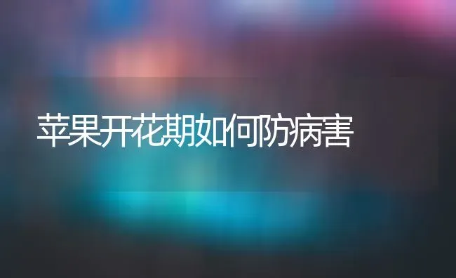 苹果开花期如何防病害 | 瓜果种植