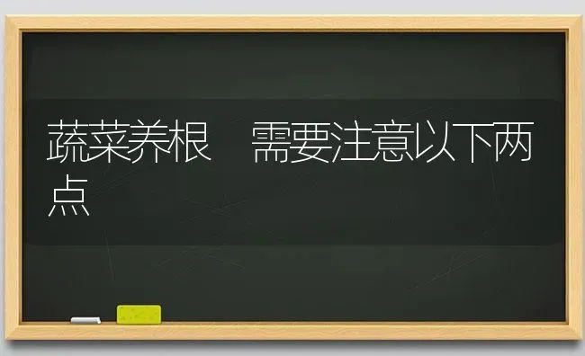 蔬菜养根 需要注意以下两点 | 蔬菜种植