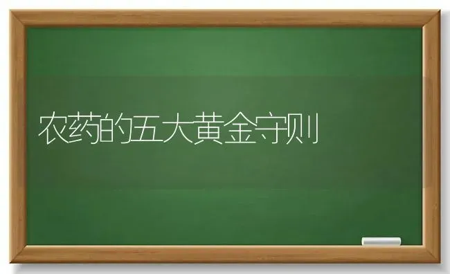 农药的五大黄金守则 | 种植病虫害防治