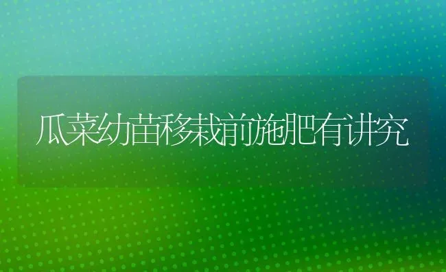 瓜菜幼苗移栽前施肥有讲究 | 种植肥料施肥