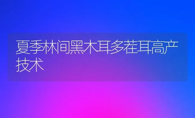 夏季林间黑木耳多茬耳高产技术 | 食用菌种植