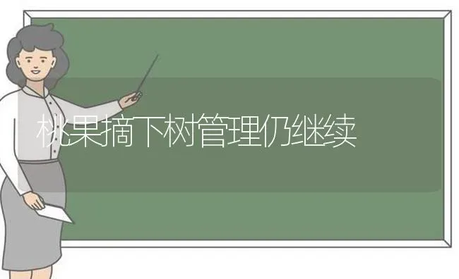 桃果摘下树管理仍继续 | 瓜果种植