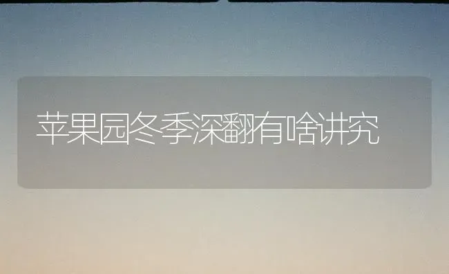 苹果园冬季深翻有啥讲究 | 瓜果种植