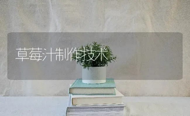 草莓汁制作技术 | 瓜果种植