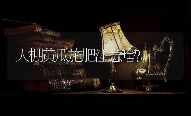 大棚黄瓜施肥注意啥？ | 种植肥料施肥
