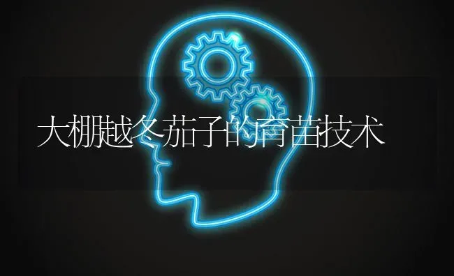 大棚越冬茄子的育苗技术 | 蔬菜种植
