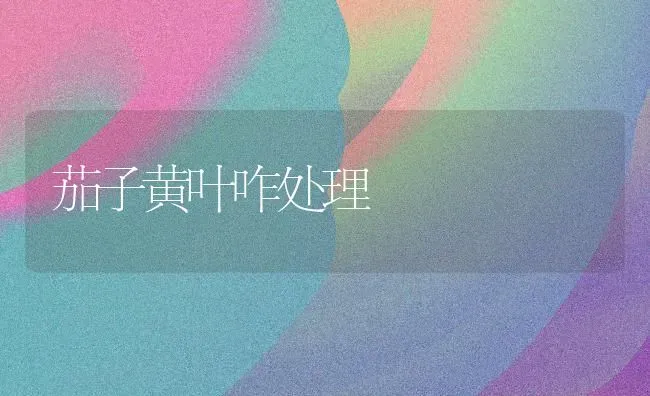 茄子黄叶咋处理 | 蔬菜种植