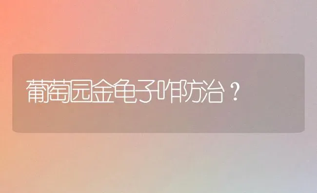 葡萄园金龟子咋防治？ | 瓜果种植